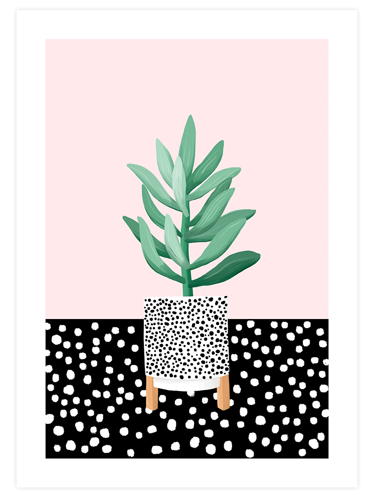 Puantiyeli Saksılar - Poster Seti Duo Ürün ikincil görseli