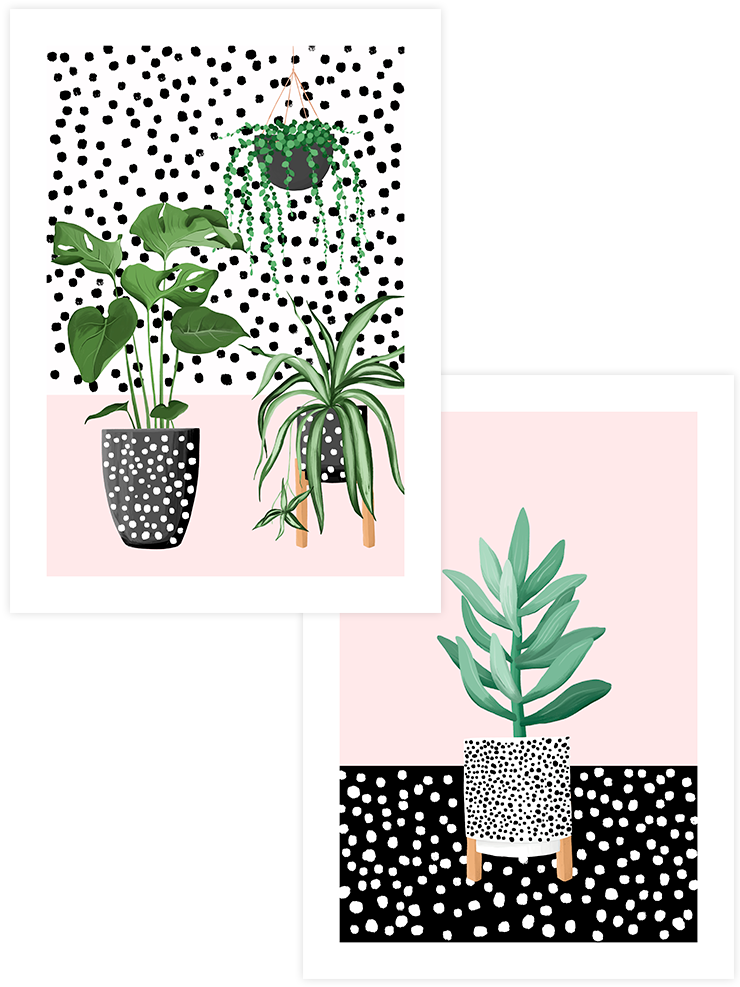 Puantiyeli Saksılar - Poster Seti Duo Ürün ana görseli