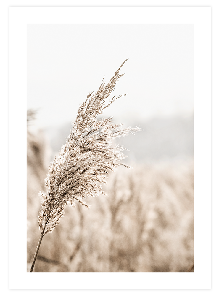 Sunset - Poster Seti Duo Ürün ikincil görseli
