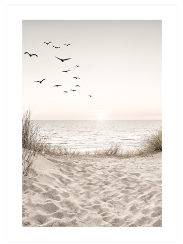 Peaceful Touch - Poster Seti Duo