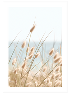 Quietness - Poster Seti Duo