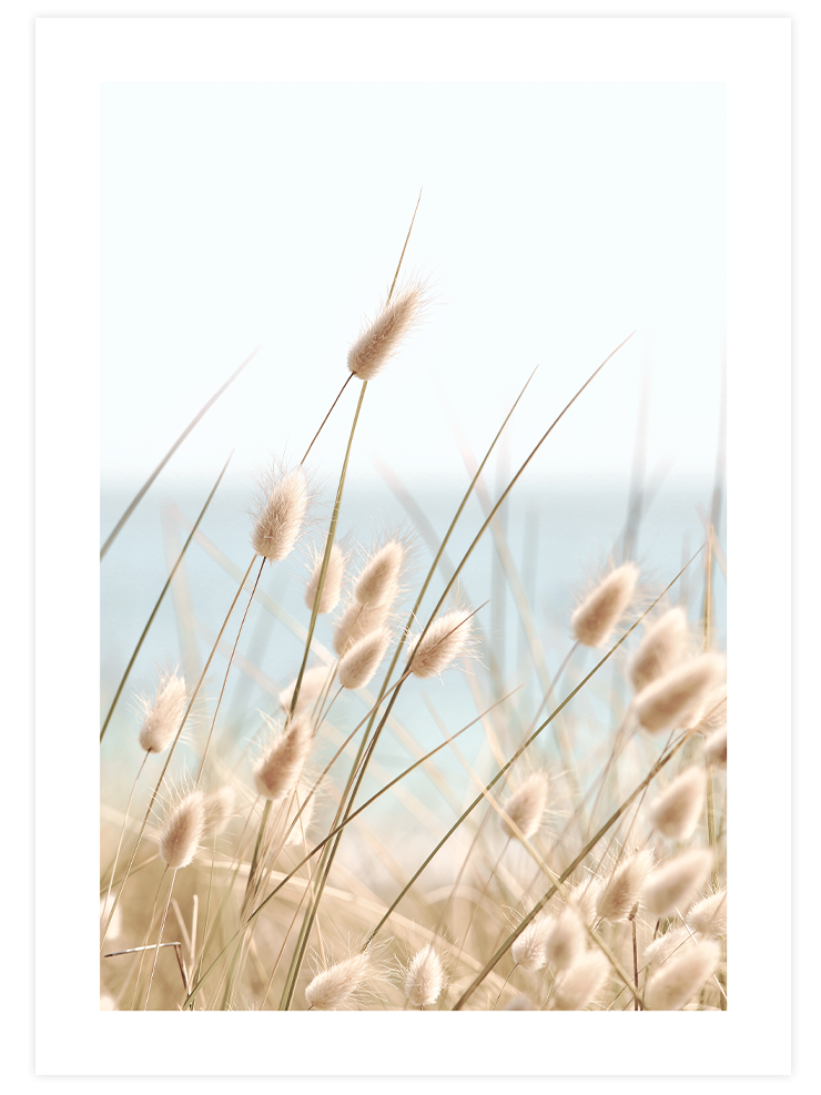 Quietness - Poster Seti Duo  Poster