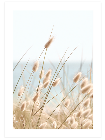 Quietness - Poster Seti Duo