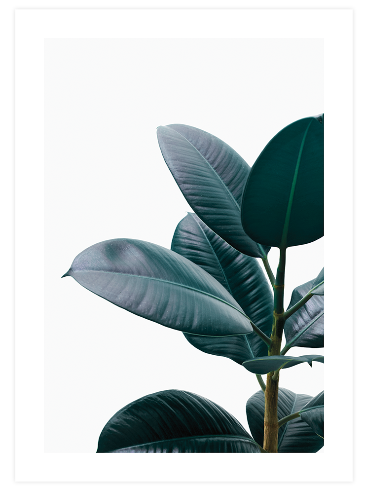 Aesthetic Green - Poster Seti Duo Ürün ikincil görseli