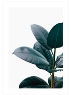 Aesthetic Green - Poster Seti Duo