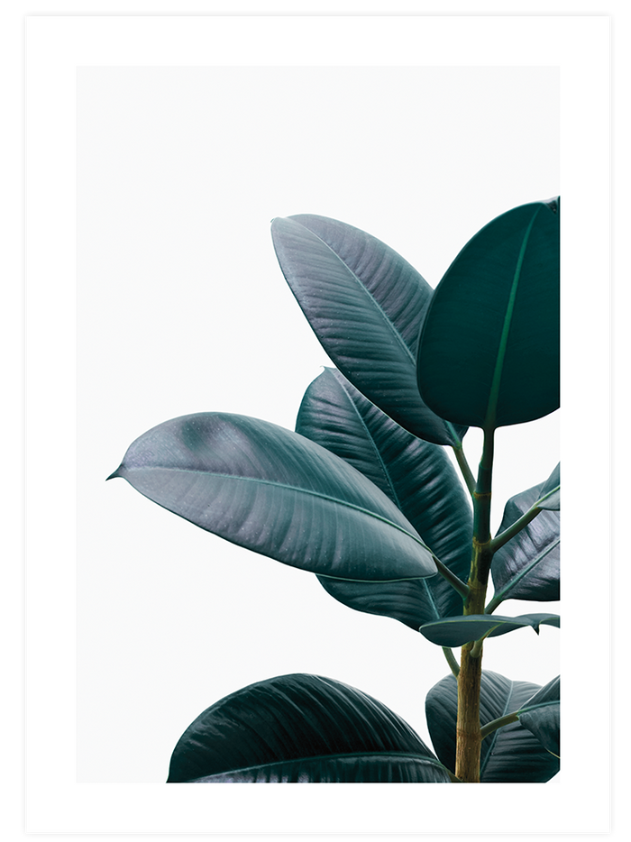 Aesthetic Green - Poster Seti Duo  Poster
