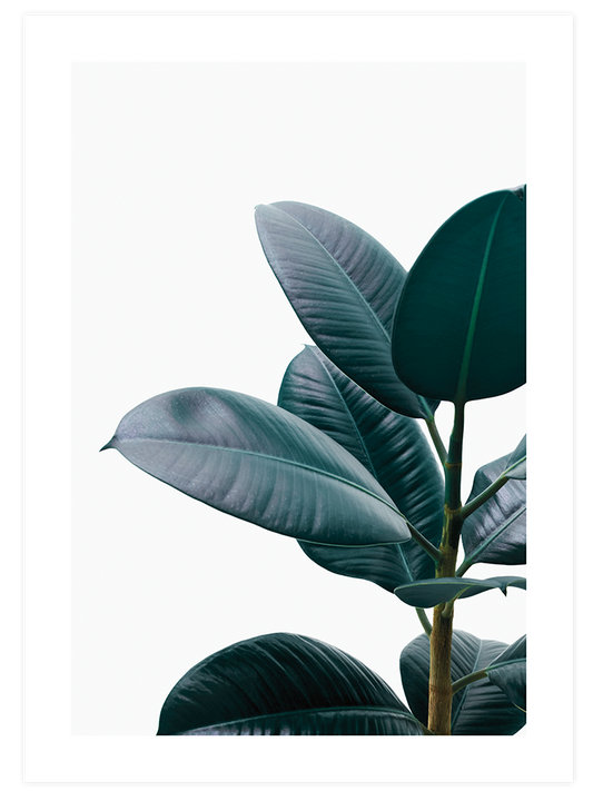 Aesthetic Green - Poster Seti Duo