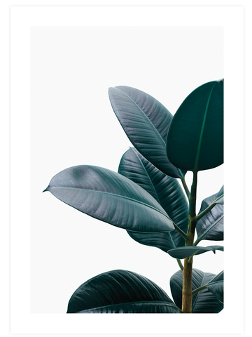 Aesthetic Green - Poster Seti Duo