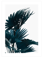 Aesthetic Green - Poster Seti Duo