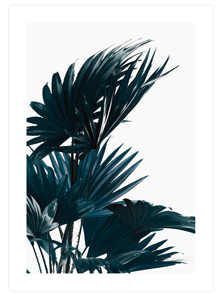 Aesthetic Green - Poster Seti Duo