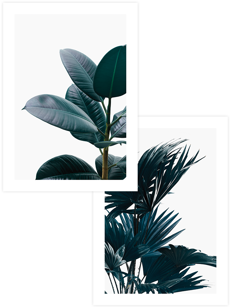 Aesthetic Green - Poster Seti Duo Ürün ana görseli