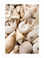 Calming Effect - Poster Seti Duo