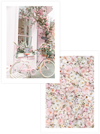 Rose - Poster Seti Duo