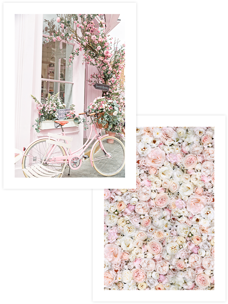 Rose - Poster Seti Duo