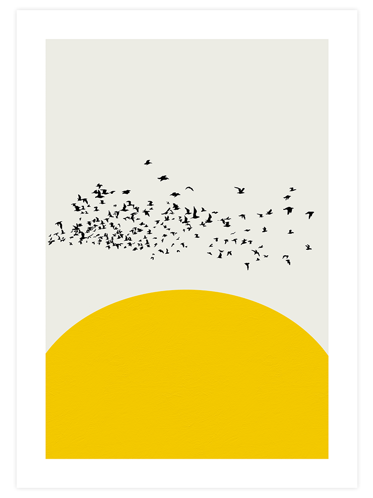 Sarı Dokunuş - Poster Seti Duo