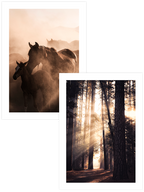 Chiaroscuro - Poster Seti Duo