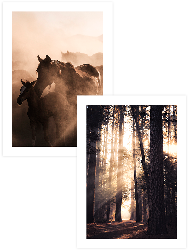 Chiaroscuro - Poster Seti Duo