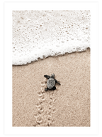 Little Magic - Poster seti Duo