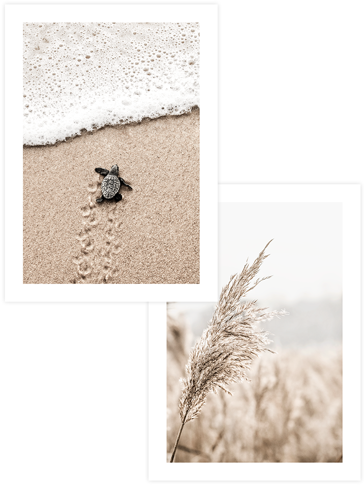 Little Magic - Poster seti Duo Ürün ana görseli