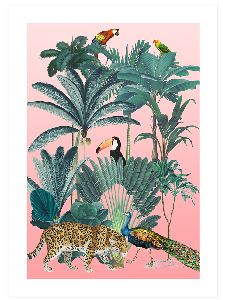 Beautiful Jungle - Poster Seti Duo Ürün ikincil görseli