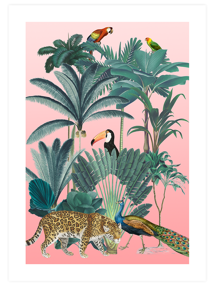 Beautiful Jungle - Poster Seti Duo  Poster