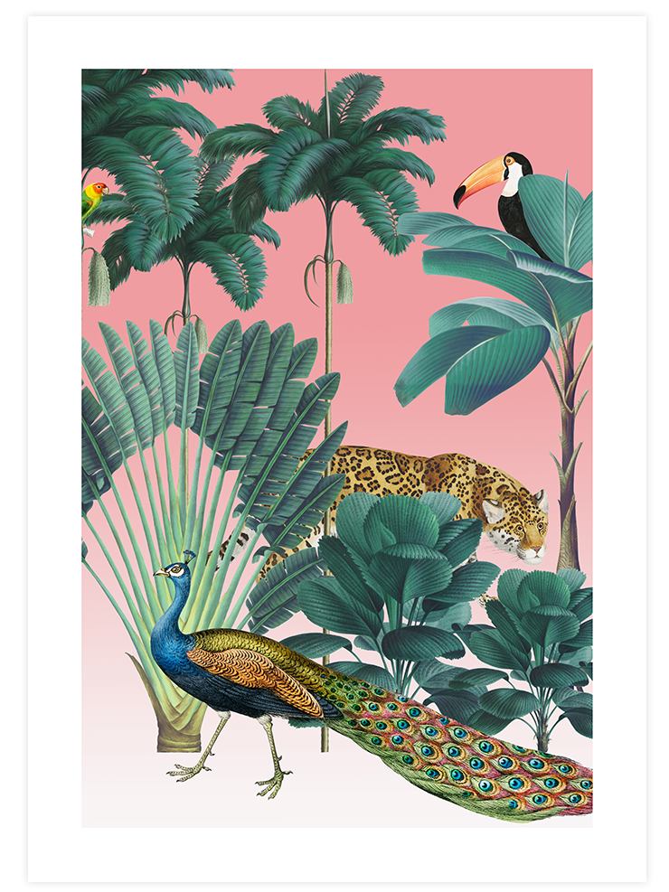 Beautiful Jungle - Poster Seti Duo