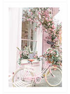 Rose - Poster Seti Duo