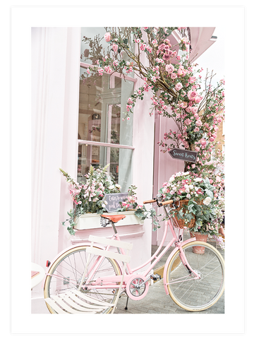 Rose - Poster Seti Duo