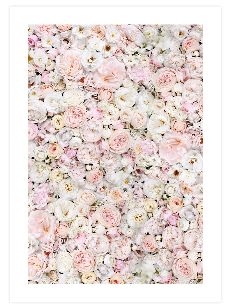 Rose - Poster Seti Duo