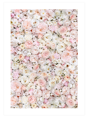 Rose - Poster Seti Duo