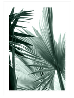 Chill Green Poster Seti