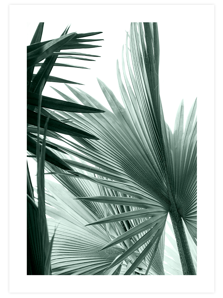 Chill Green Poster Seti