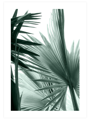 Chill Green Poster Seti