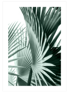 Chill Green Poster Seti