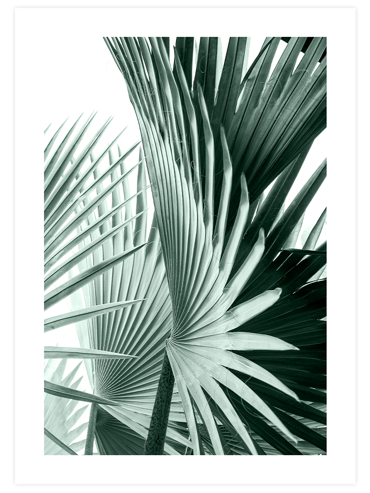 Chill Green Poster Seti