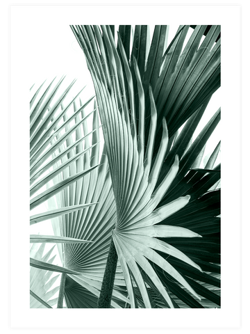 Chill Green Poster Seti