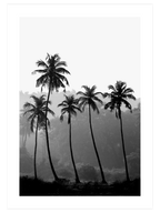 Intense Black - Poster Seti Duo