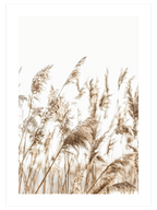 Happiness Comes in Waves Poster Seti