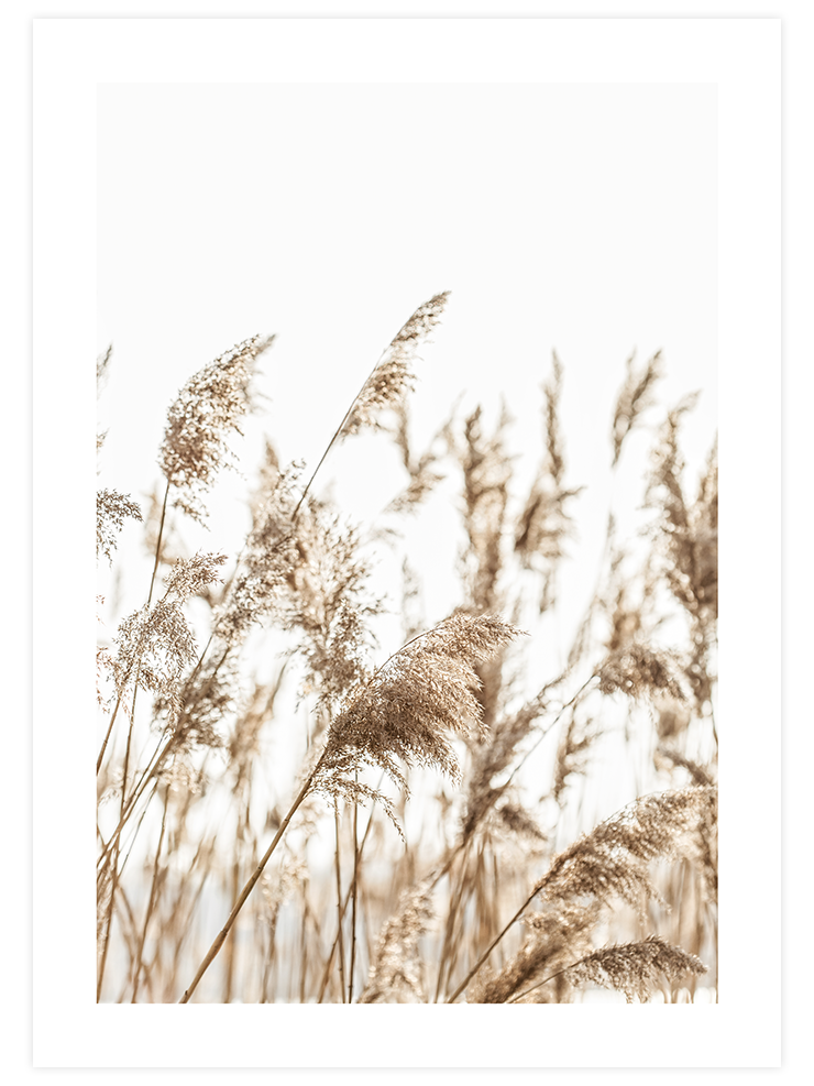 Happiness Comes in Waves Poster Seti