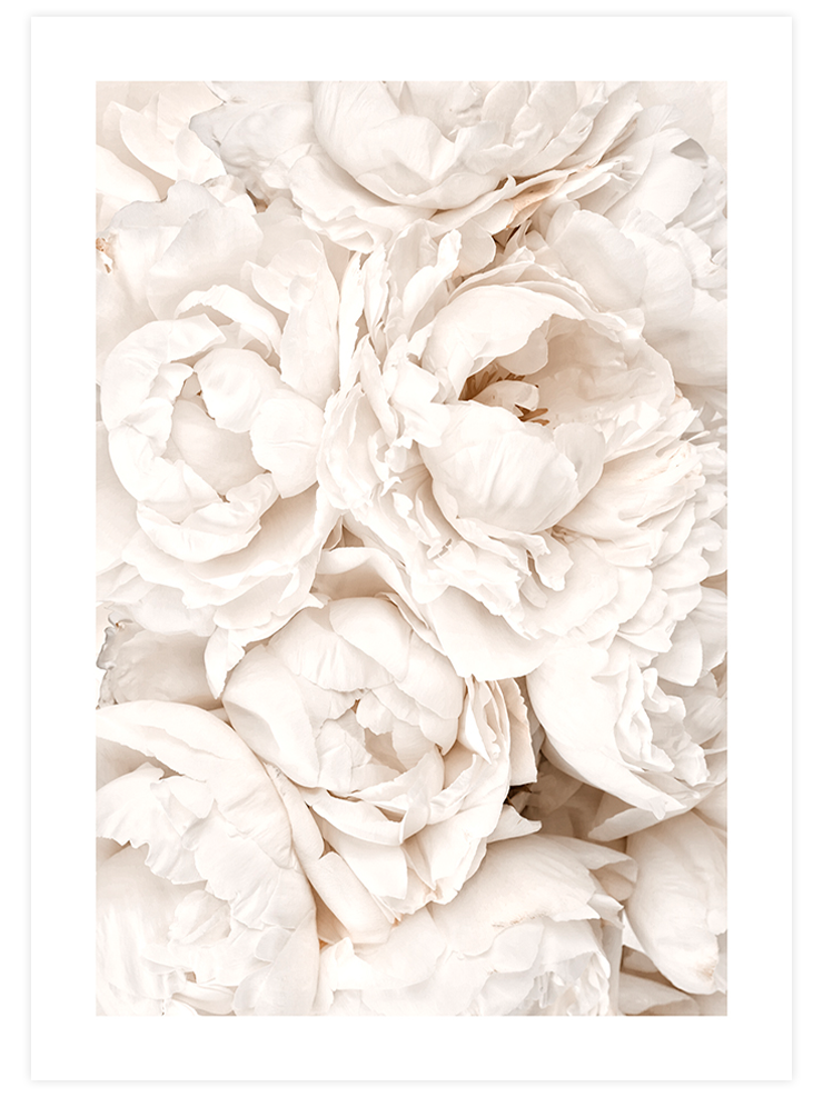 Charme Beige Poster Seti