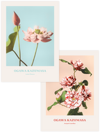 Ogawa Kazumasa Flowers - Poster Seti Duo