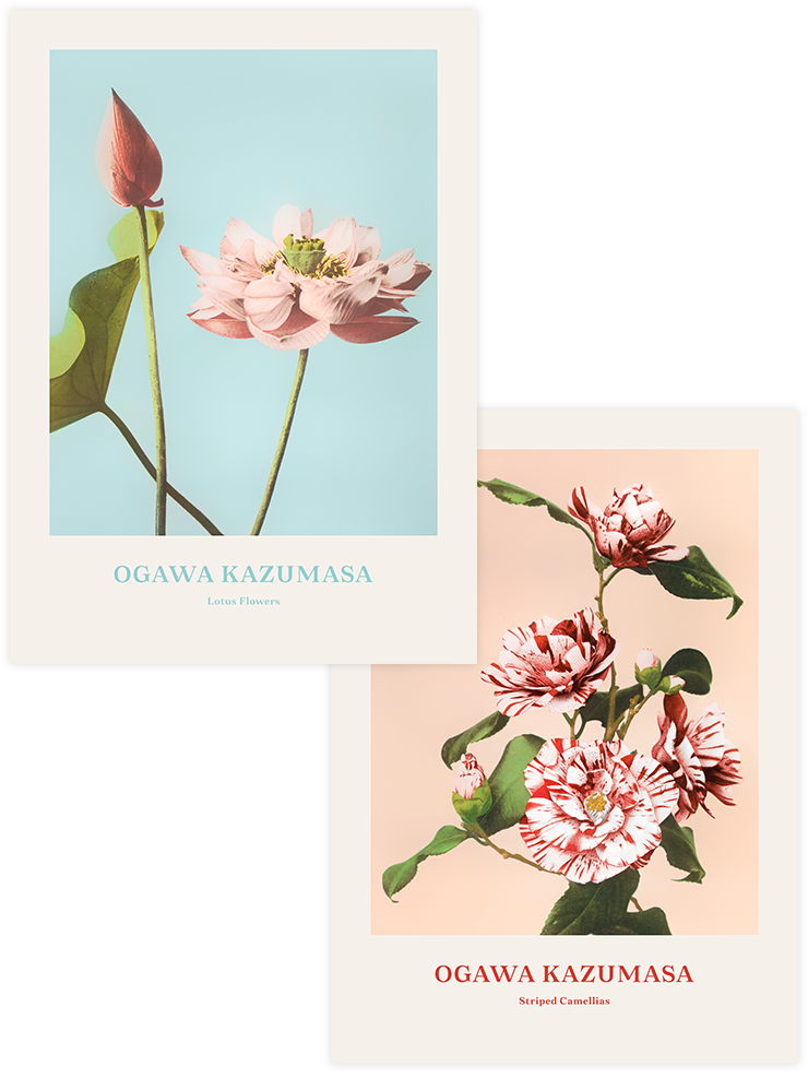 Ogawa Kazumasa Flowers - Poster Seti Duo Ünlü Ressamlar Poster