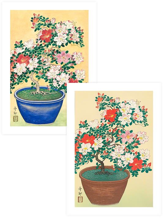 Ohara Koson Flowers - Poster Seti Duo