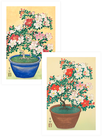 Ohara Koson Flowers - Poster Seti Duo