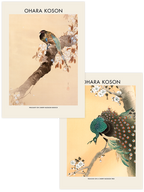 Ohara Koson Cherry Blossom - Poster Seti Duo