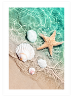 Mediterranean Beauty Poster Seti