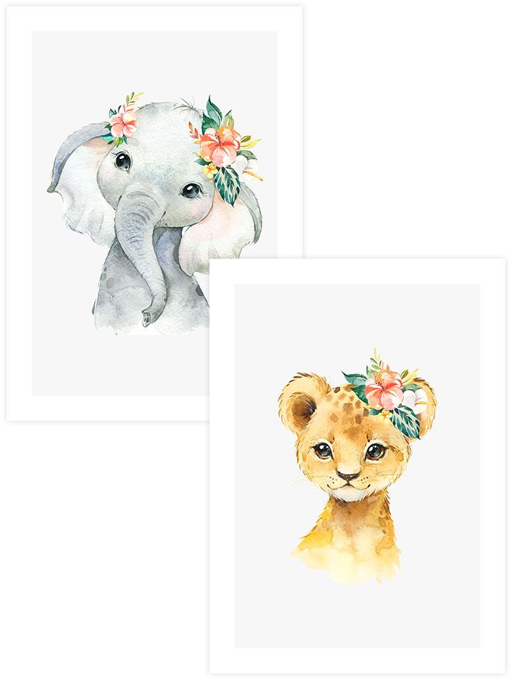 Koket Fil & Aslan - Poster Seti Duo
