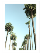 Cool Summer Poster Seti