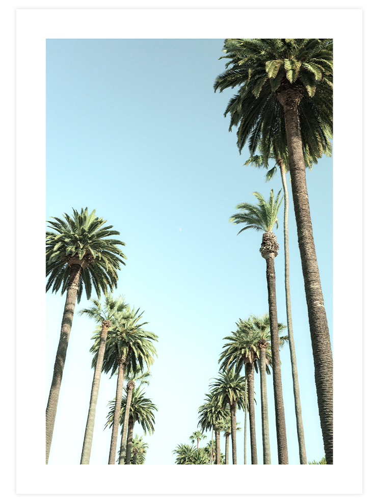 Cool Summer Poster Seti