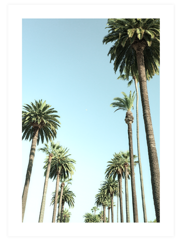 Cool Summer Poster Seti
